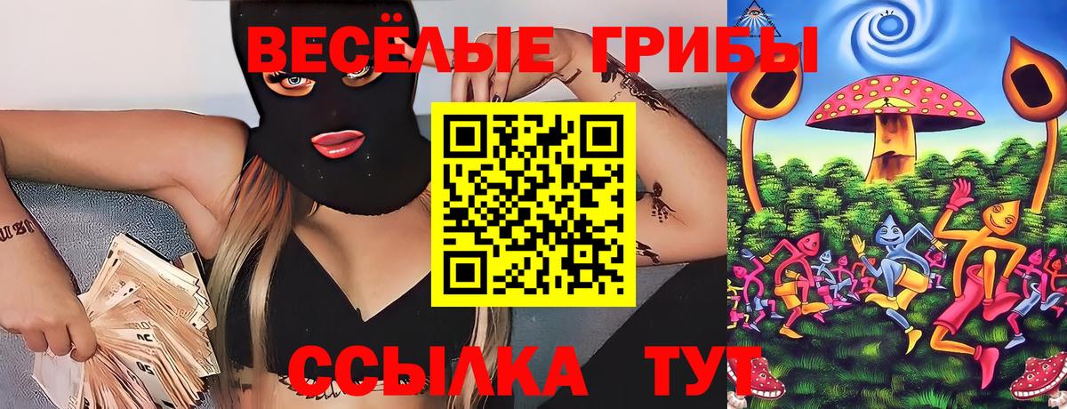 Псилоцибиновые грибы Psilocybine cubensis Тихорецк