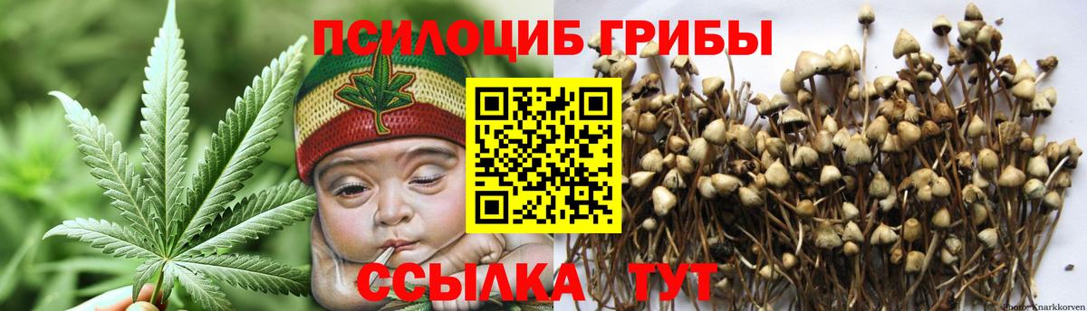 Тихорецк  Псилоцибиновые грибы GOLDEN TEACHER  Вход с VPN 